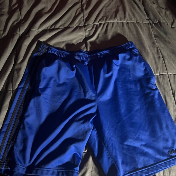 Shorts - Picture 2 of 3